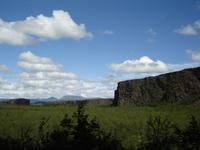 DSC00307