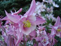 DSC00328