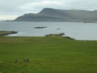 DSC00391