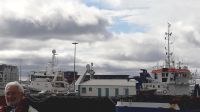 Der Hafen von Reykjavik