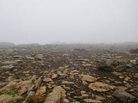 Dettifoss (nachher)