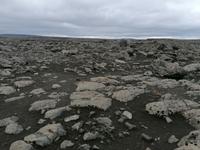 Dettifoss