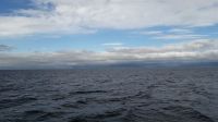 Die Sicht auf Reykjavik vom Meer aus