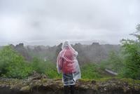 Dimmubrogir