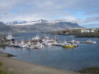 Djupivogur