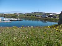 Djupivogur