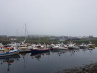 Djupivogur