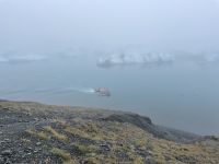 Gletscher Lagune
