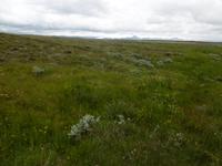 Gullfoss