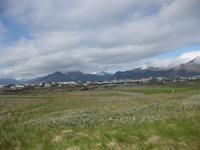 Höfn
