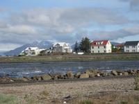 Höfn