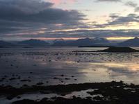 Höfn