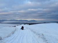 Höfn