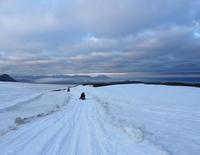 Höfn
