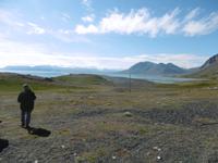 Höfn