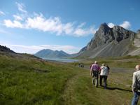 Höfn