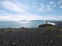 Höfn
