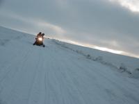 Höfn