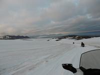 Höfn