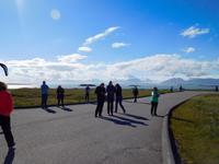 Höfn