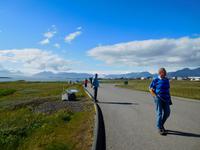 Höfn