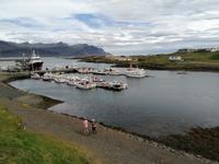 Höfn