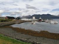 Höfn