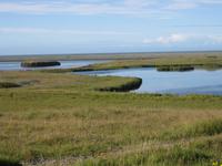 Höfn