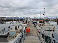 Hùsavik