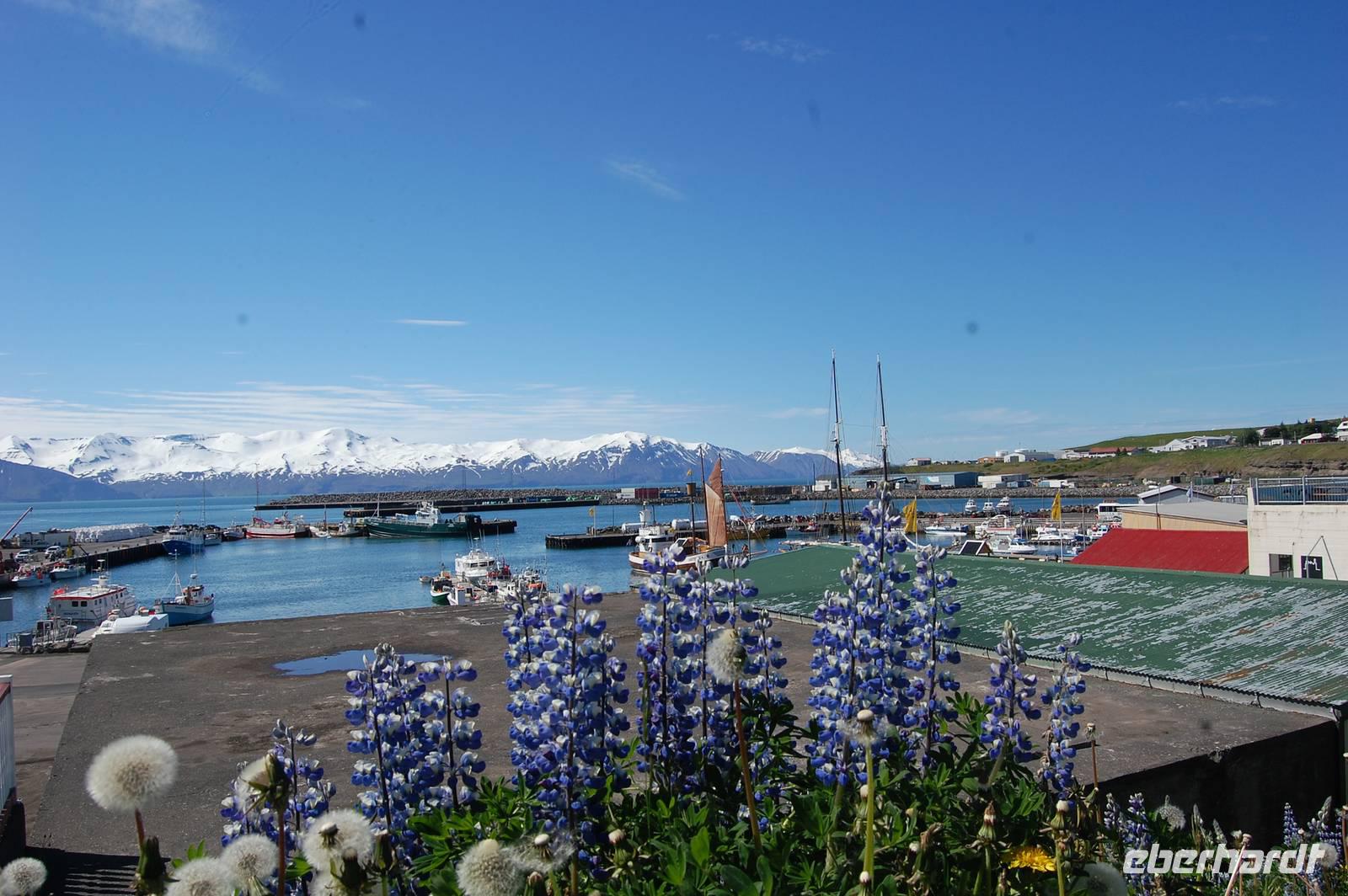 Hafen von Húsavik
