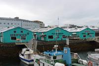Hafen von Reykjavik 