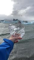IMG 5156