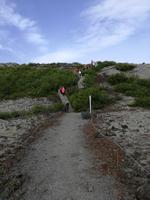 IMG_20170607_105326