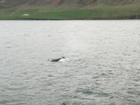 IMG_20170607_213310