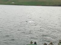IMG_20170607_213324