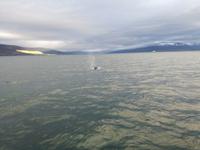 IMG_20170607_215116