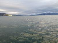IMG_20170607_215117