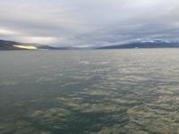 IMG_20170607_215117_3