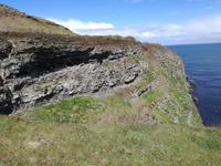 IMG_20170608_125729
