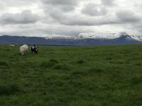 IMG_20170609_102437