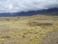 IMG_20170610_122246