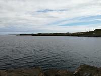 IMG_20170610_124216