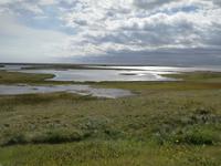 IMG_20170610_162957