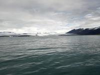 IMG_20170611_090708