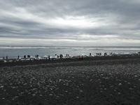 IMG_20170611_101247