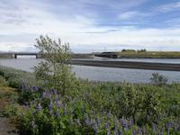 IMG_20170611_131752