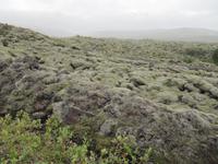 Im Lavafeld der Katla