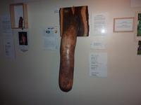 Im Phallusmuseum