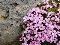 Impressionen