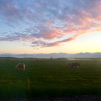 Impressionen